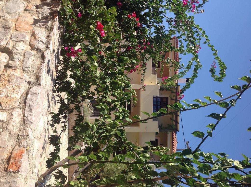 Appartement Alexandraki *